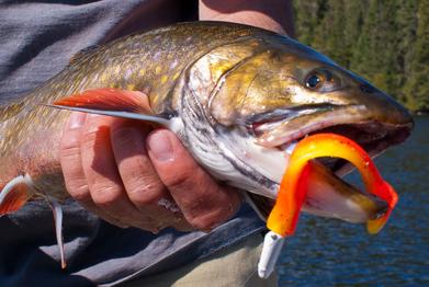 Best Ice Fishing Lures for Brook Trout 