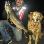 Choosing A Live Bait Rig For Walleye - Fish'n Canada