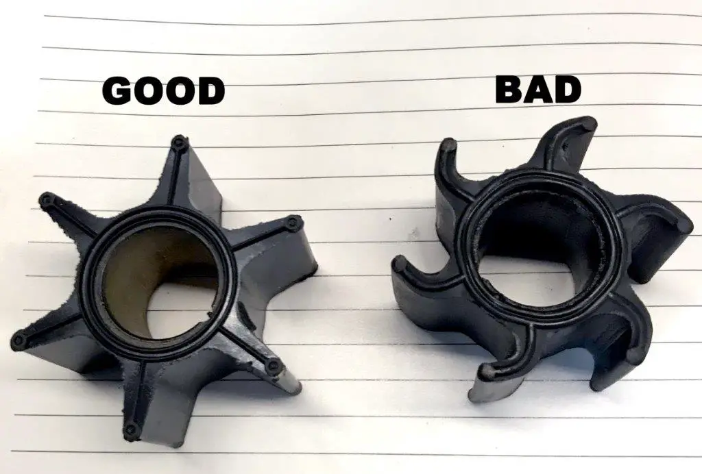 Impeller Why You Need To Check It! Fish'n Canada