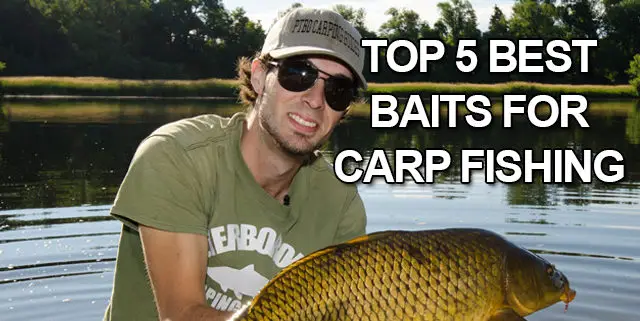 Top 5 Best Baits For Carp Fishing | Fish'n Canada