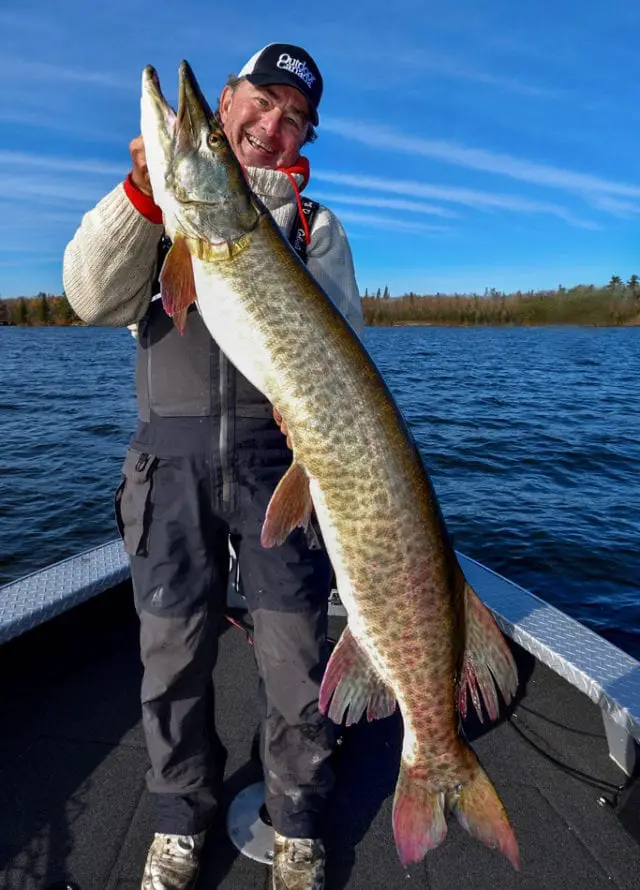 Top 5 Musky Baits From Musky Fishing Experts | Fish'n Canada