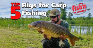 Top 5 Rigs for Carp Fishing
