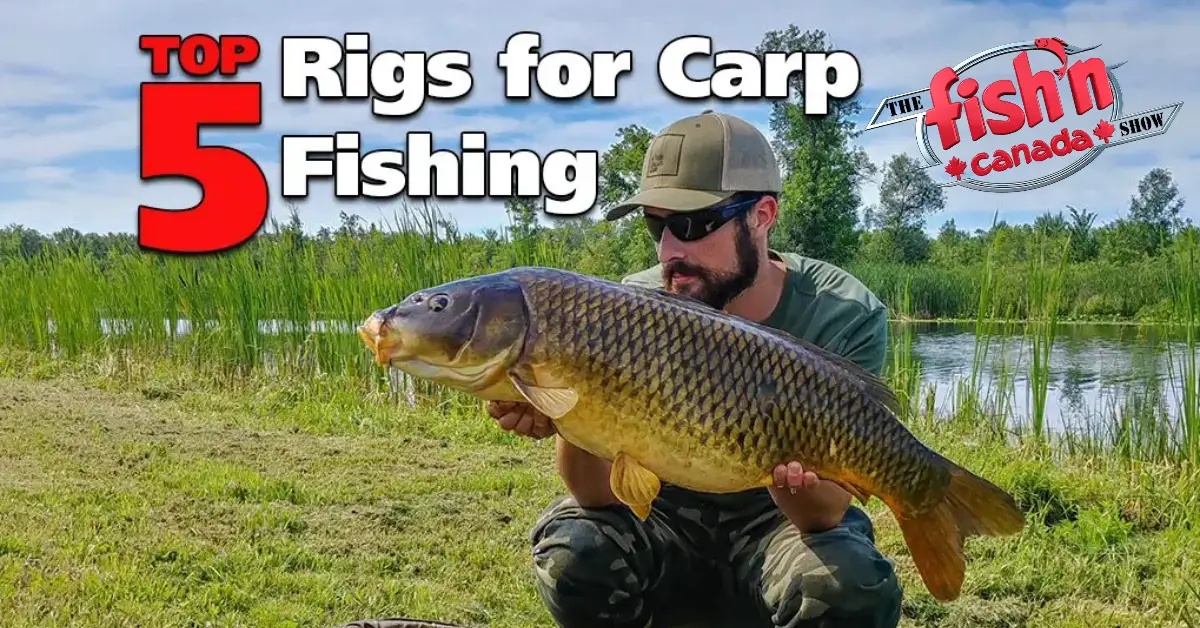 Top 5 Rigs for Carp Fishing - Fish'n Canada