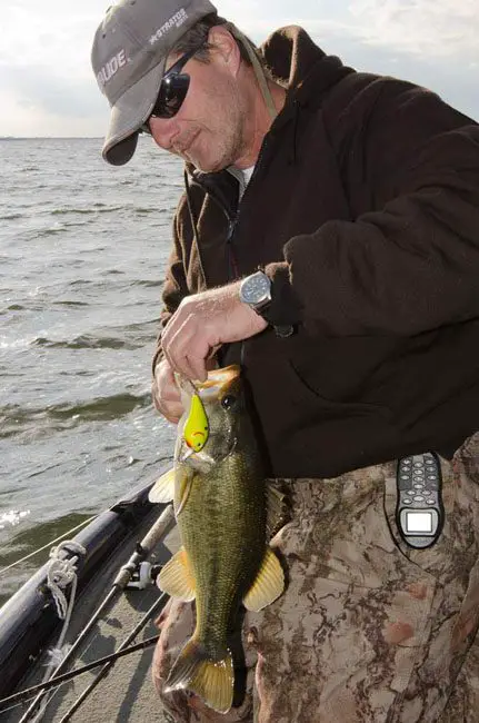 Mike Burriss unhooks his Squarebilled Crankbait from an aggressive late Largie