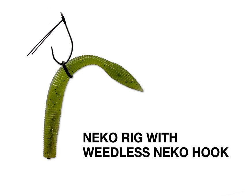 Neko Rig - Bass Baits