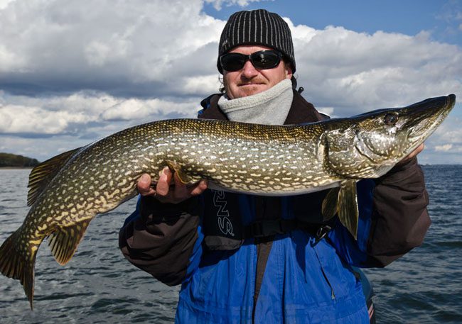 A Bass Fishing Adventure in Quinte West - Bay of Quinte Region