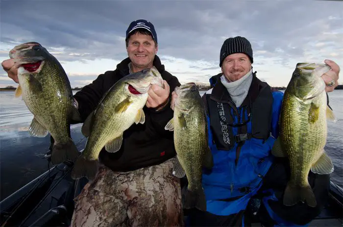 Squarebill Crankbaits for Big Canadian Bass - Fish'n Canada