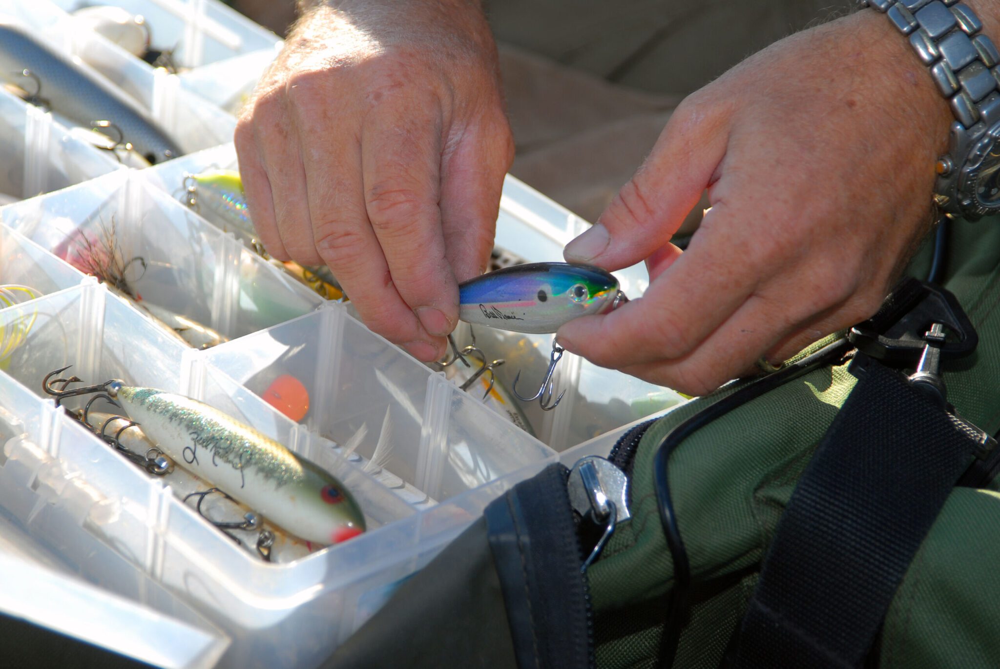 Fishing The Cabbage Weed 