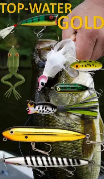 Topwater excitement: Hula Popper for large mouth bass — Red's Fly Shop