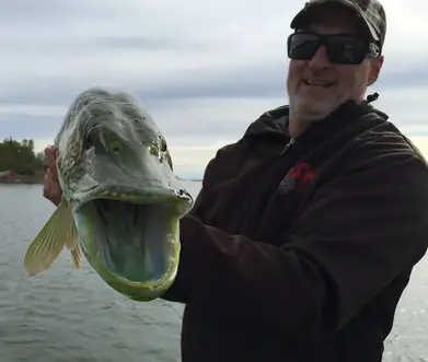 Angler Catches Neon Pike On Great Slave Lake - Fish'n Canada