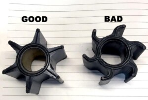 Impeller: Why You Need To Check It!