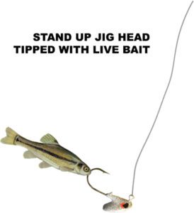 Stand Up Jig Walleye Presentation