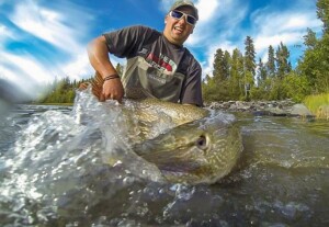 Canadian study shows that fish recover rapidly from mercury pollution