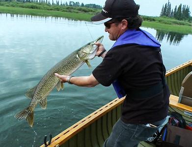 Pike Fishing. Where are the best lakes? - Gray Wood Outfitters