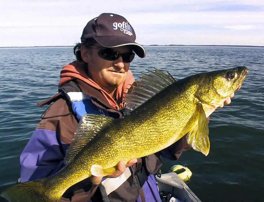 Top 5 Walleye Lodges in Ontario – Fish'n Canada