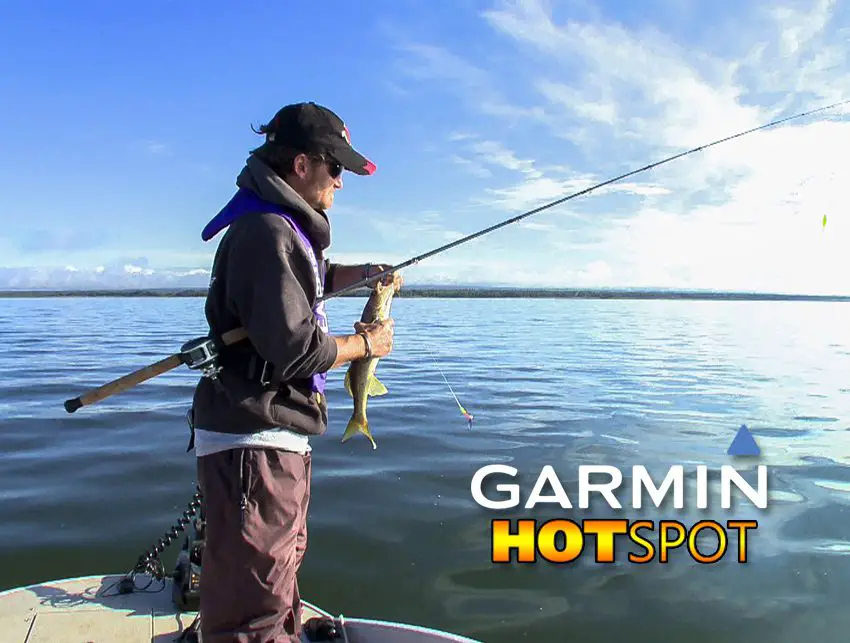 walleye fishing trips in canada