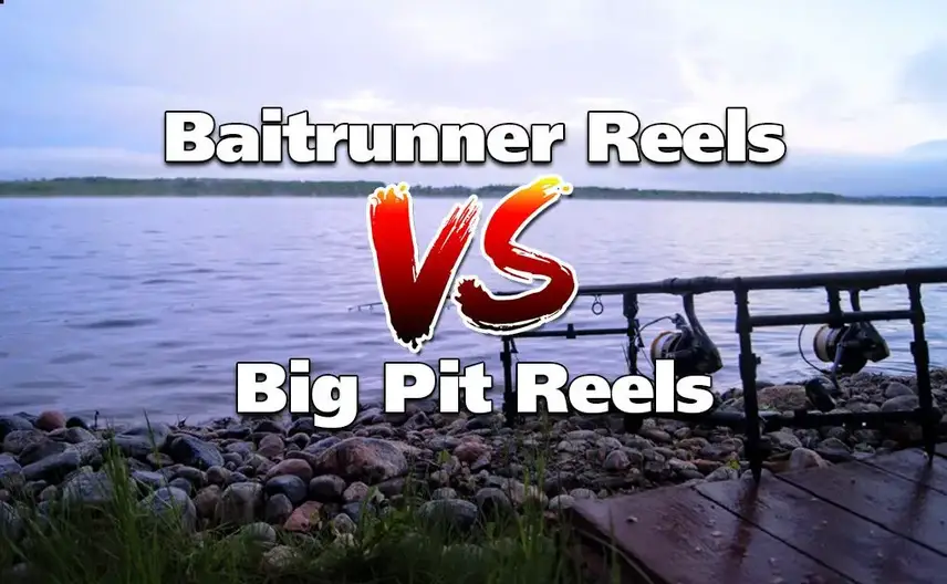 Baitrunner Reels VS Big Pit Reels for Carp: The Great Carp Gear