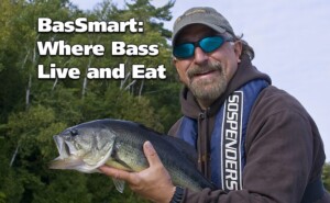 Where Bass Live and Eat – (BasSmart – Part 2)