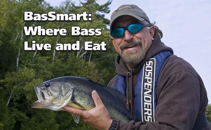 Where Bass Live and Eat - (BasSmart - Part 2) - Fish'n Canada