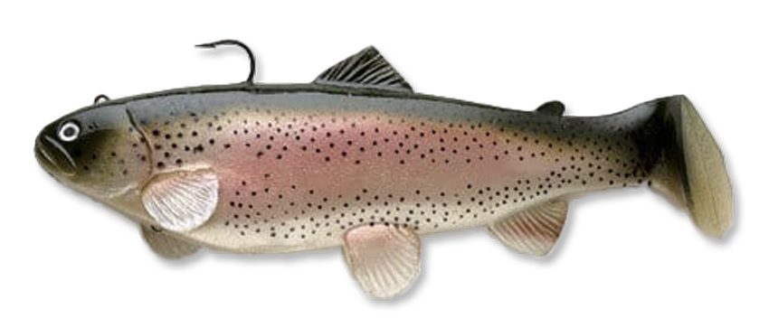 A Rainbow Trout soft plastic swimbait on a white background
