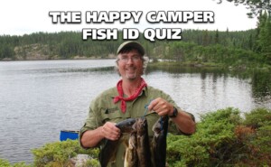 The Happy Camper – Fish ID Quiz