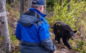 The Bear Facts: Ontario Proposes to Reopen the Spring Bear Hunt