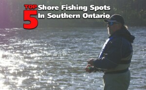 Shore Fishing: Top 5 Spots in Southern Ontario