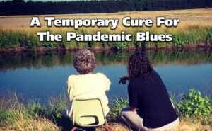 A Temporary Cure for the Pandemic Blues