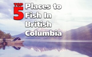 Fishing in BC: Top 5 Places To Fish In British Columbia