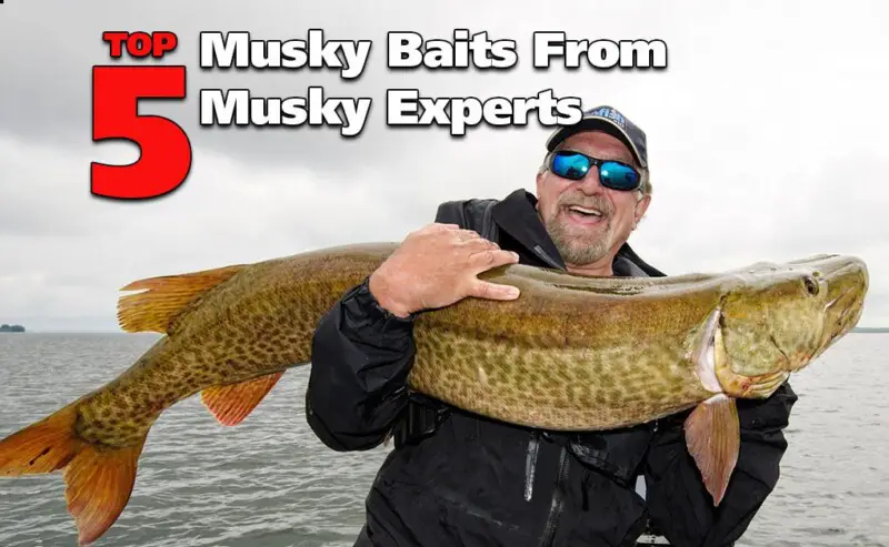 Top 5 Musky Baits From Musky Fishing Experts | Fish'n Canada