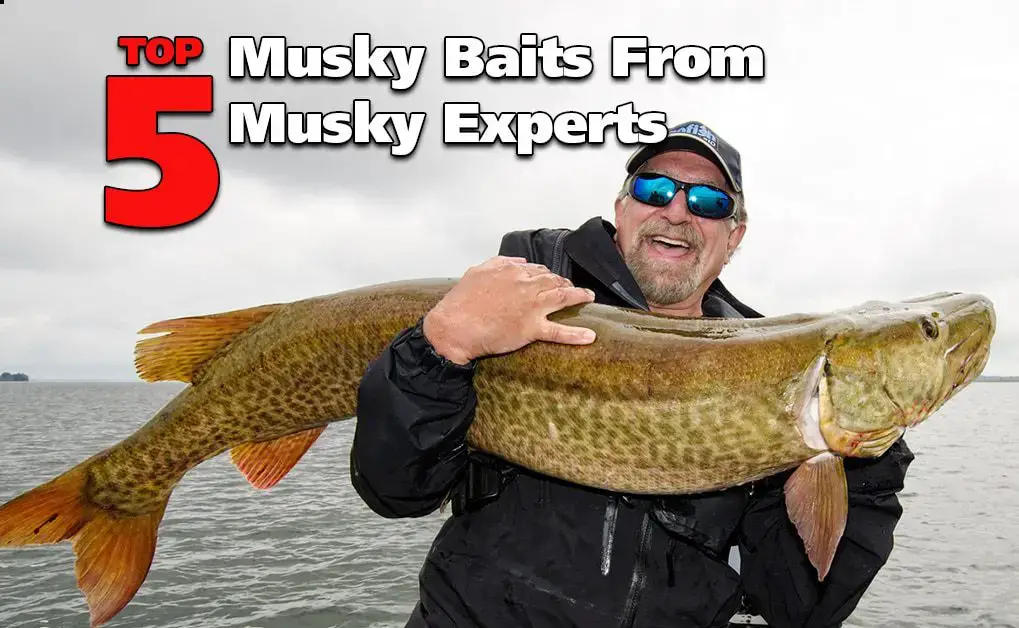 Top 5 Musky Baits From Musky Fishing Experts - Fish'n Canada