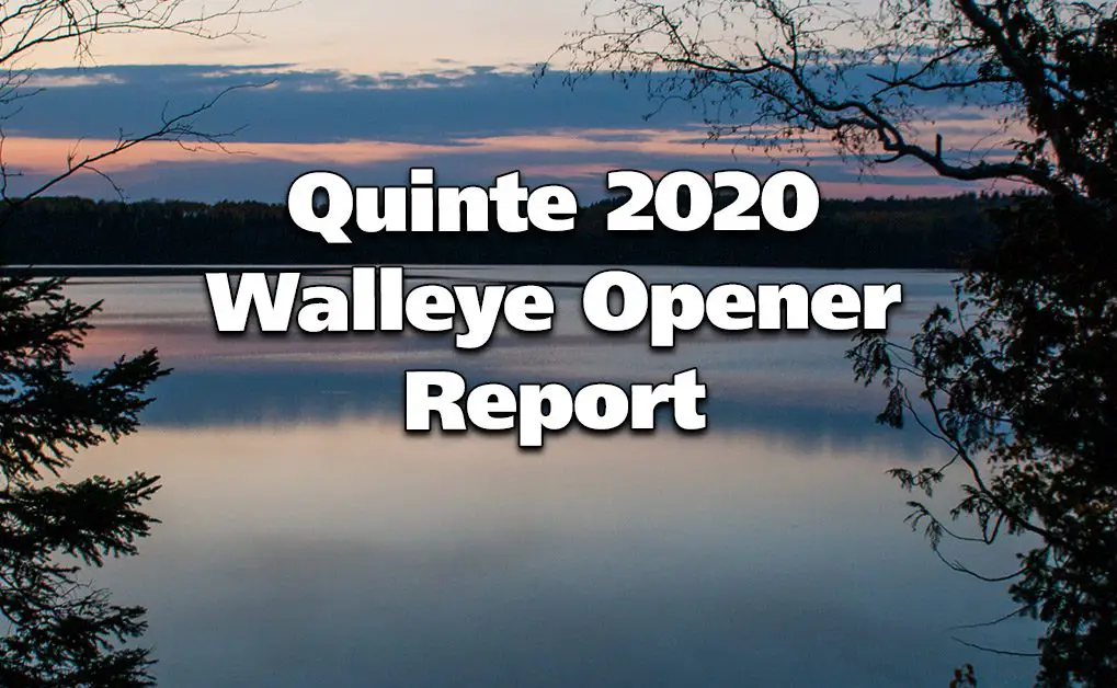 Quinte 2020 Walleye Opener