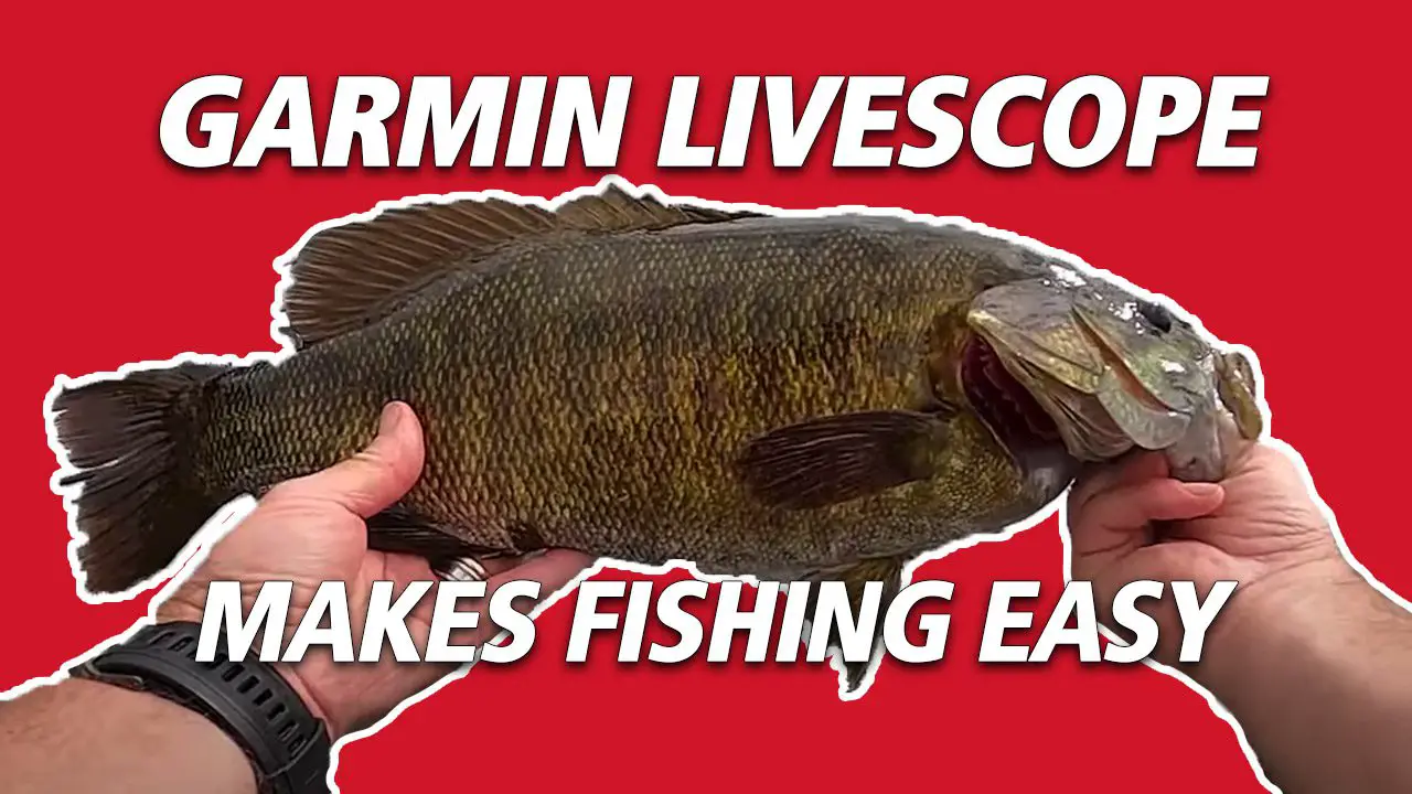 Garmin Panoptix Livescope Makes Catching Big Smallmouth Easier - Fish'n  Canada