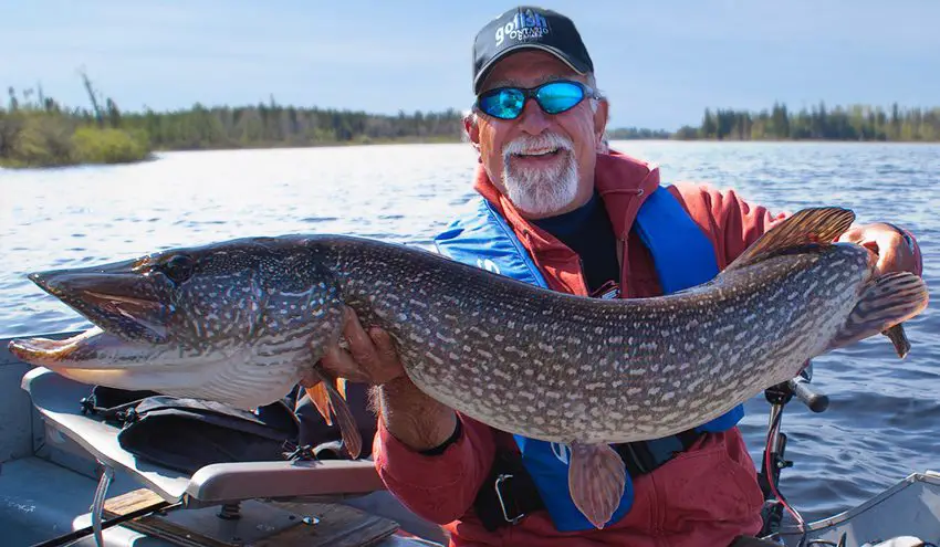 Top 5 Trophy Northern Pike Waters in Ontario – Fish'n Canada