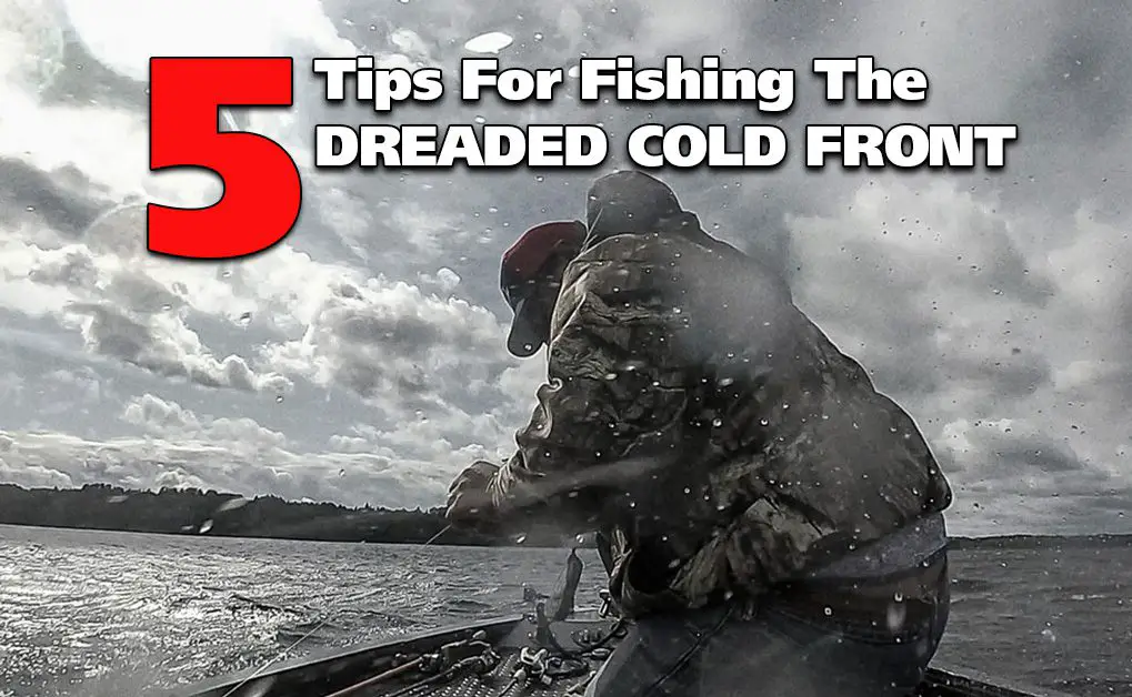 Dreaded Cold Front - 5 Tips