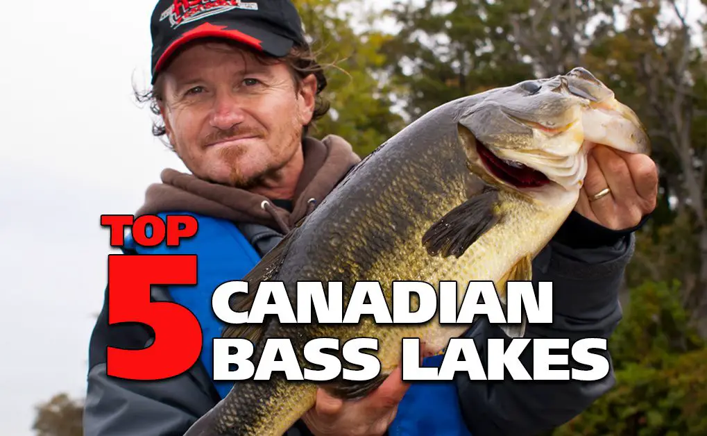 Top 5 Canadian Bass Lakes - Fish'n Canada