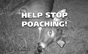 Poachers Beware, The Public Is On To You!