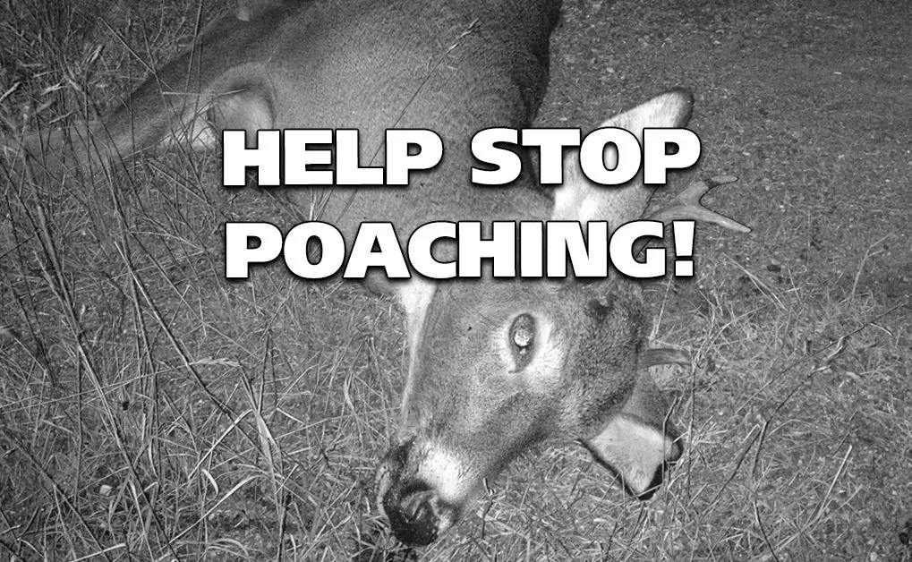 Help Stop Poaching