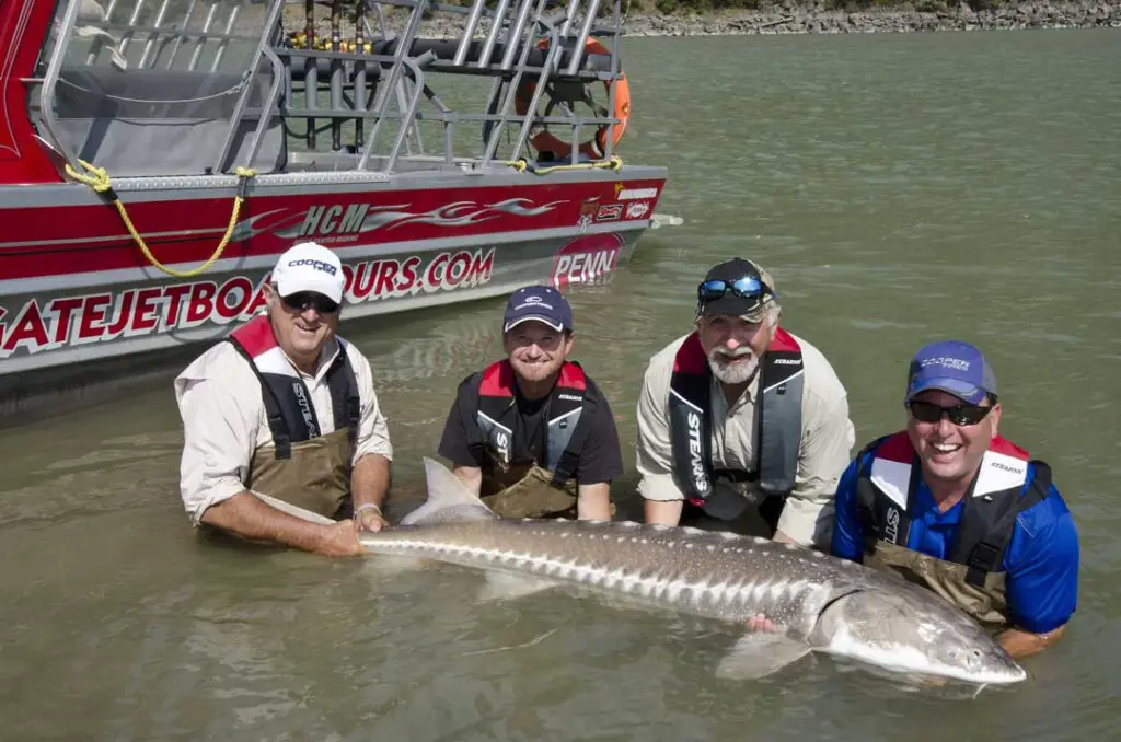 The boys with a huge sturgeon