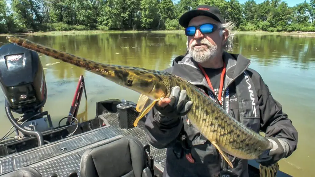 Angelo Viola holding a longnose gar