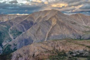 How Long Could You Survive Alone in the Wild