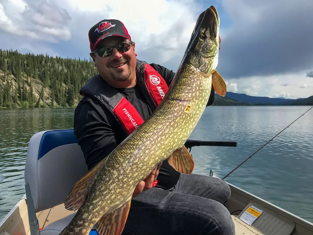 Steve with a massive British Columbia Pike