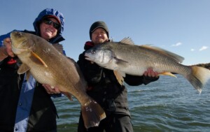 Herding Quinte Sheephead – Episode 472