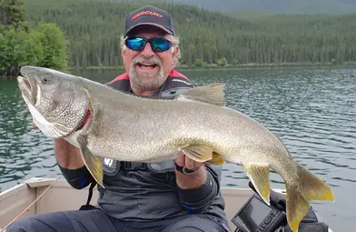 Old fish did great': Study finds some lake trout get older without aging -  Red Deer Advocate