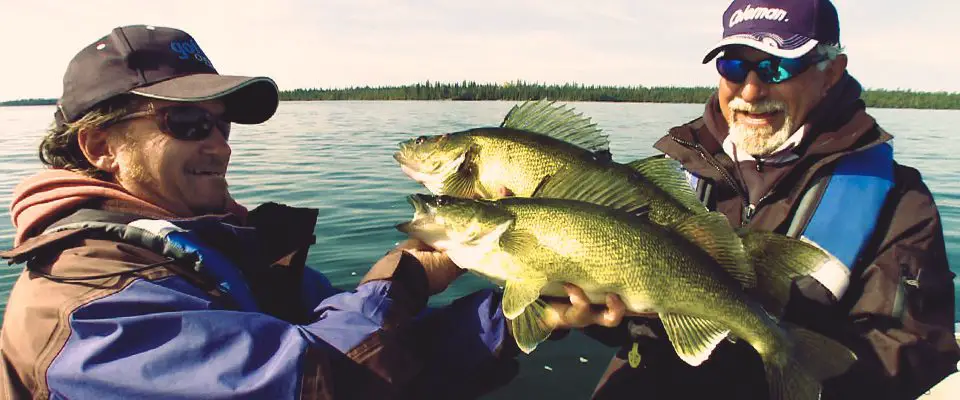 Walleye Double Header