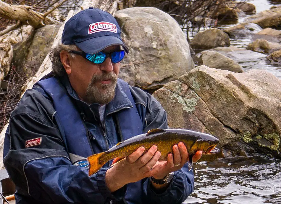 Ang Holding Brook Trout