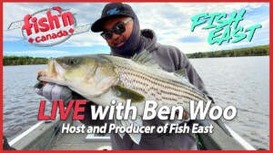 Live with Ben Woo from Fish East