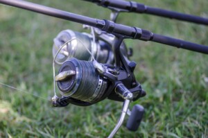 Ontario Announces New Enhancements (Up to 3 Lines) for Carp Fishing