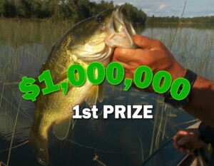 One Million Dollar 1st Prize in US Amateur Fishing Tournament