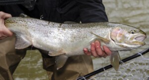 Bighead River, Meaford, Ontario